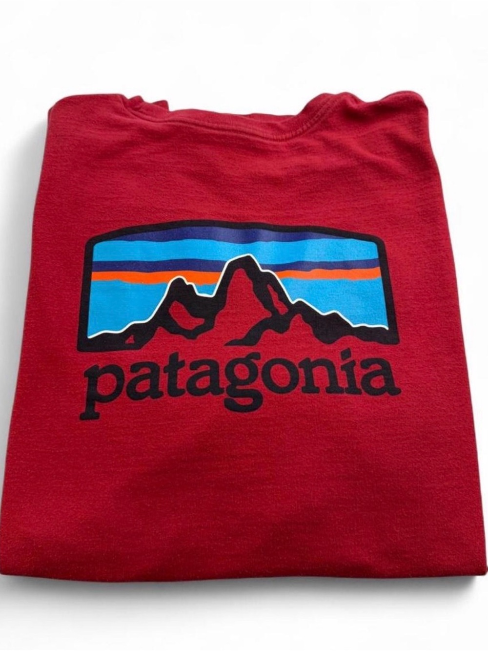 Patagonia Red Short-Sleeve Tee. Men’s Size L. CALL OUT-SMALL PIN HOLE.